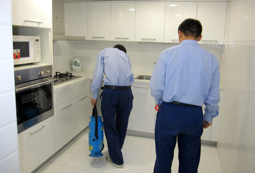北京滅臭蟲公司