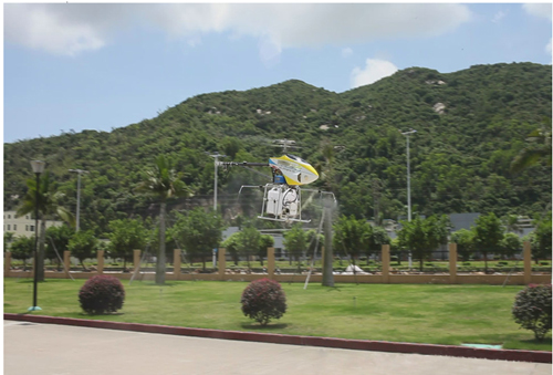 北京滅蟲公司