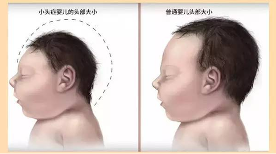 【消殺公司,北京朝陽區(qū)消殺公司】東方漢諾—北京快訊