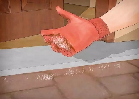 【滅蟲(chóng)公司】東方漢諾—北京快訊