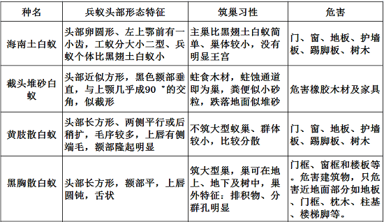 【滅白蟻公司】東方漢諾—北京快訊