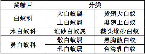 【滅白蟻公司】東方漢諾—北京快訊