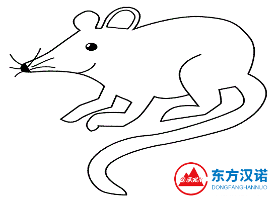 老鼠名片：小家鼠——有人居住的地方，都有它的蹤跡