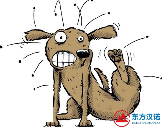 【滅跳蚤公司】東方漢諾—北京快訊