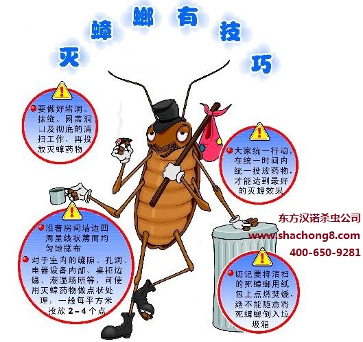 【殺蟑螂公司】東方漢諾—北京快訊