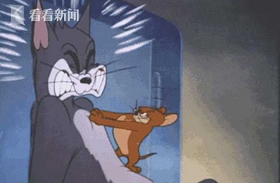 【專業(yè)滅老鼠公司】東方漢諾—北京快訊