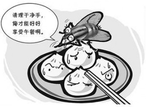【除蟲公司】東方漢諾—北京快訊
