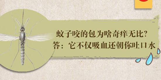 【消殺公司】東方漢諾—北京快訊