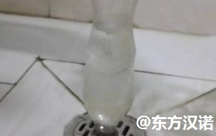 【衛生間有蛾蚋？滅蟲公司教你一招殲滅煩人的小飛蟲！—北京專業滅鼠公司東方漢諾】