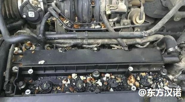 【滅鼠公司，你家愛車的發動機艙有老鼠怎么辦？—北京專業滅鼠公司東方漢諾】