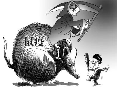 【滅老鼠公司】東方漢諾—北京快訊