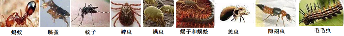 【消殺公司】東方漢諾—北京快訊