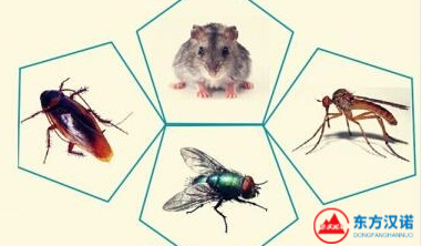 太詳細了！有害生物防治|害蟲防治對建筑設施的要求-東方漢諾-北京快訊