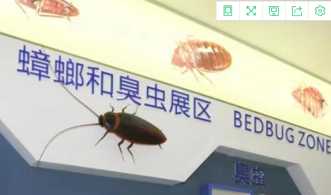 老鼠、蚊子、蒼蠅、蟑螂…這個博物館的展品，好像有些不一樣-東方漢諾-北京快訊