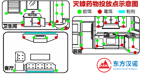 小強夾縫中求生存，應怎么徹底消滅蟑螂？-東方漢諾-北京快訊