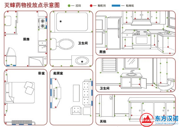 【北京專業除殺蟑螂公司】東方漢諾—北京快訊