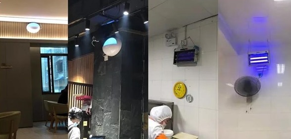 餐館3米高的滅蠅燈，是應(yīng)檢湊數(shù)還是裝飾好看？-東方漢諾-北京快訊