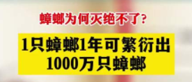【北京專業(yè)殺蟑螂公司】東方漢諾—北京快訊