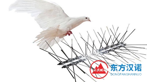 防鳥刺是個啥？有什么作用？-東方漢諾消殺公司-北京快訊
