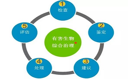 食品加工廠滅鼠防鼠全策略-東方漢諾-北京快訊