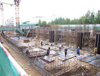 建筑業殺蟲滅鼠