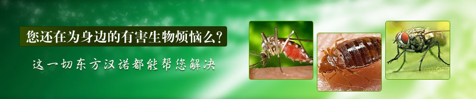 消殺公司,東方漢諾北京消毒公司