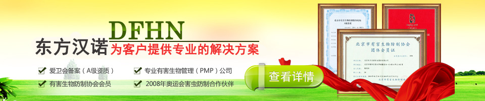 滅螞蟻的方法,如何滅螞蟻,東方漢諾北京滅螞蟻